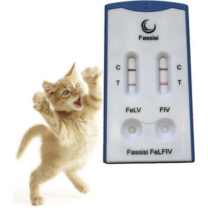test rapido della leucosi felina 1