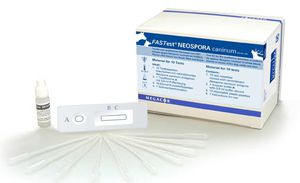 test rapido di Neospora caninum