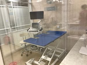 lettino da visita veterinario / per ecografia / elettrico / ad altezza regolabile