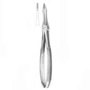 pinza per estrazione di radici dentali 1