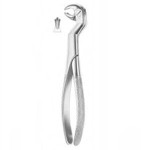 pinza per estrazione denti per molari 1