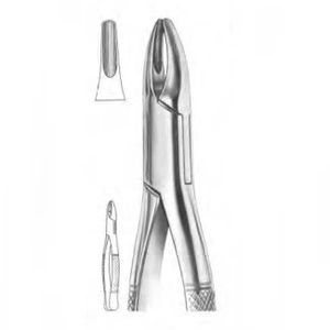 pinza per estrazione di radici dentali