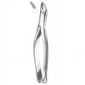 pinza per estrazione di radici dentali 1
