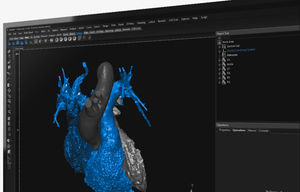 software di visualizzazione 3D