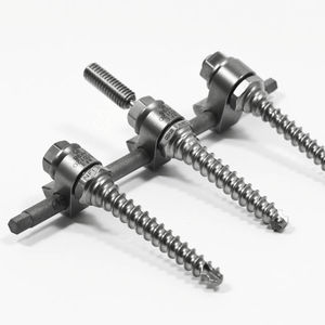 sistema di osteosintesi toraco-lombo-sacrale 1
