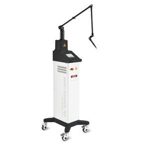 laser veterinario per chirurgia veterinaria