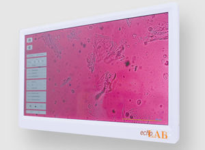 monitor ad alta definizione 1