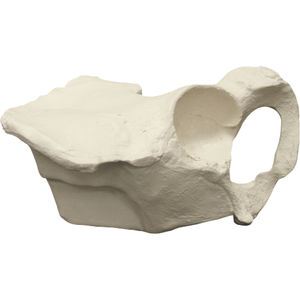 modello anatomico osseo 1