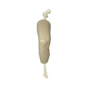 modello anatomico per ginocchio