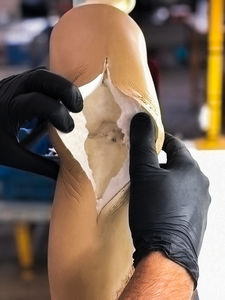 modello anatomico per ginocchio