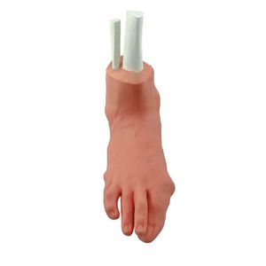 modello anatomico di piede