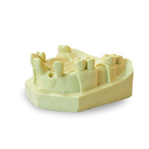 modello anatomico di denti 1