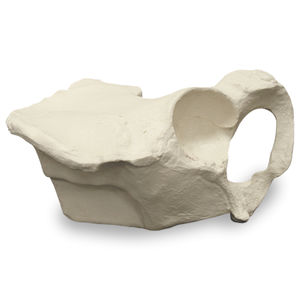 modello anatomico osseo 1