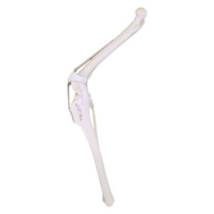 modello anatomico per ginocchio 1