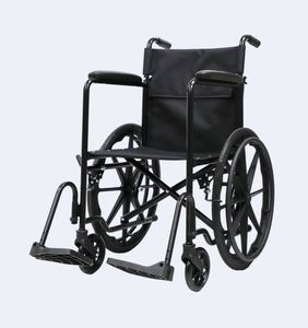 sedia a rotelle elettrica 1