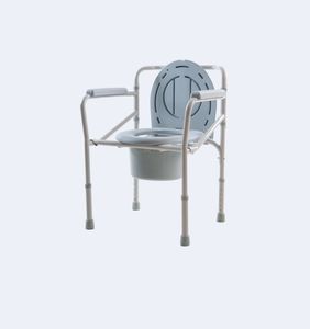 sedia da toilette con braccioli 1