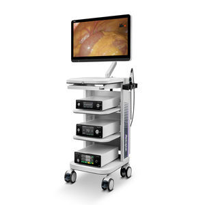 fotocamera per endoscopio