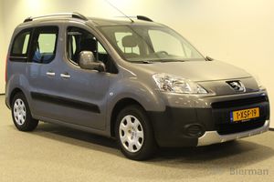 veicolo per disabili monospazio