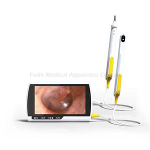 gastroscopio veterinario video 1