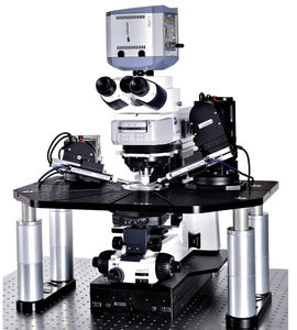 sistema patch-clamp a doppio canale