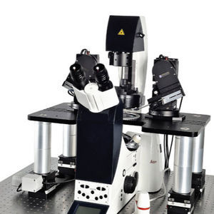 sistema patch-clamp con microscopio invertito