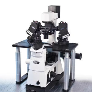 sistema patch-clamp con microscopio invertito