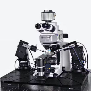 sistema patch-clamp