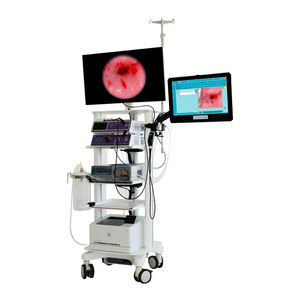 colonna endoscopica per chirurgia ginecologica endoscopica