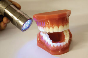 modello anatomico di sensibilizzazione all’igiene dentale
