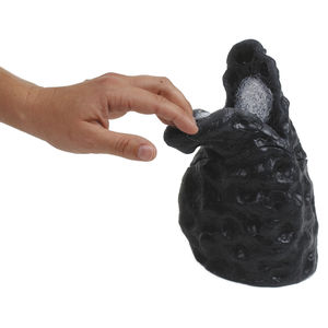 modello anatomico di polmone
