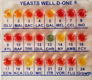 kit di test per analisi di identificazione