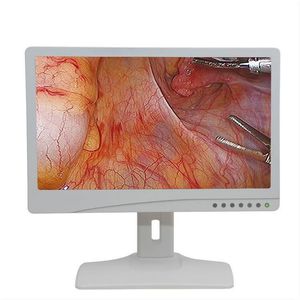 monitor per endoscopia