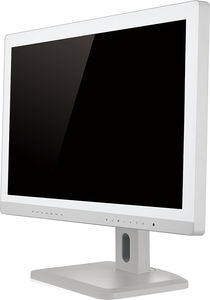 monitor per endoscopia