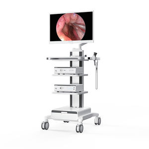 monitor per endoscopia 1