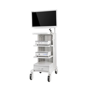 carrello per endoscopia 1