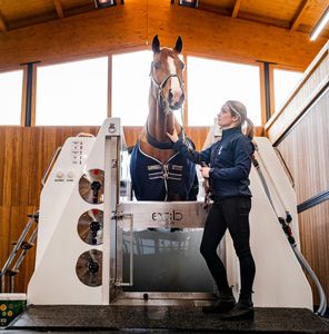spa per animali per equini