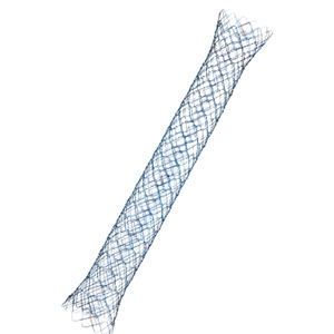 stent pilorico