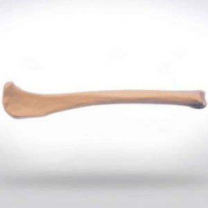 modello anatomico di tibia