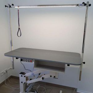 tavolo per toelettatura elevabile
