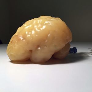 phantom di calibrazione per radiografia