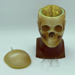 phantom di calibrazione per radiografia