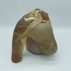 phantom di calibrazione per ecografia
