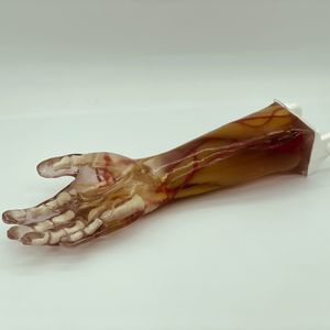 phantom di calibrazione per ecografia