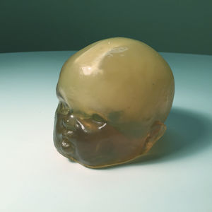 phantom di calibrazione per ecografia