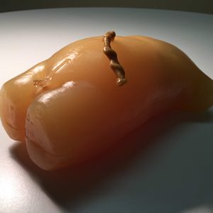 phantom di calibrazione per ecografia