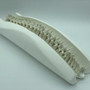 phantom di calibrazione per radiografia