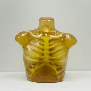 phantom di calibrazione per ecografia