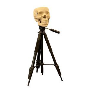 phantom di calibrazione per radiografia dentale