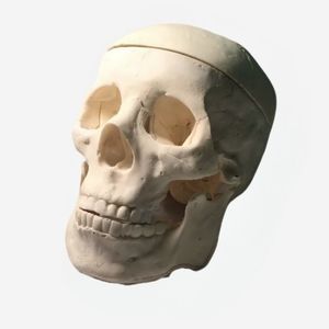 phantom di calibrazione per radiografia