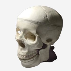 phantom di calibrazione per radiografia